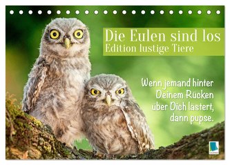 Die Eulen sind los: Edition lustige Tiere (Tischkalender 2024 DIN A5 quer), CALVENDO Monatskalender