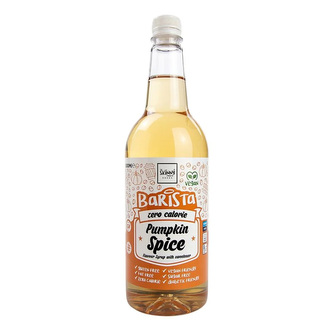 Skinny Barista 1000 ml pumpkin spice (dýňové koření)