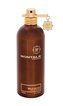 Montale Paris Wild Aoud Parfémovaná voda 100 ml unisex