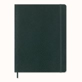 Moleskine Precious & Ethical Vegea zápisník linkovaný zelený XL v dárkové krabici