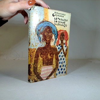 Letadlem do země šimpanzů