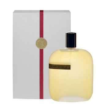 Amouage The Library Collection Opus IV Parfémovaná voda 100 ml unisex
