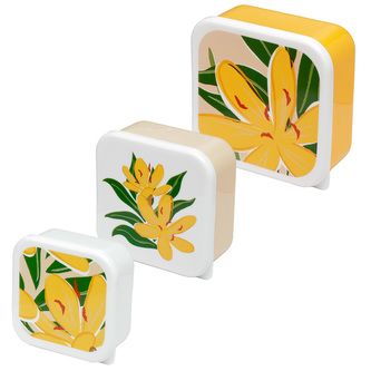 Sada 3 krabiček/nádob na jídlo M/L/XL - Florens Hesperantha
