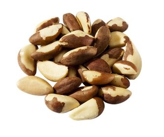 para ořechy Lifefood BIO RAW 100g