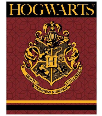 FLÍSOVÁ DEKA HARRY POTTER