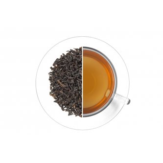 Oxalis South India Elephant Hills 60 g