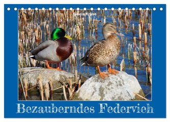 Bezauberndes Federvieh (Tischkalender 2024 DIN A5 quer), CALVENDO Monatskalender