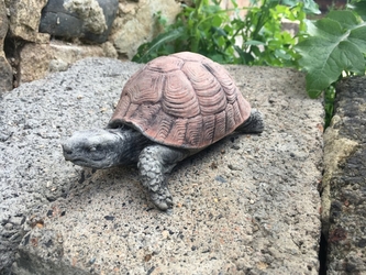 Zahradní betonová dekorace - Želva červená