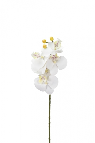 Umělá orchidej bílá 68 cm