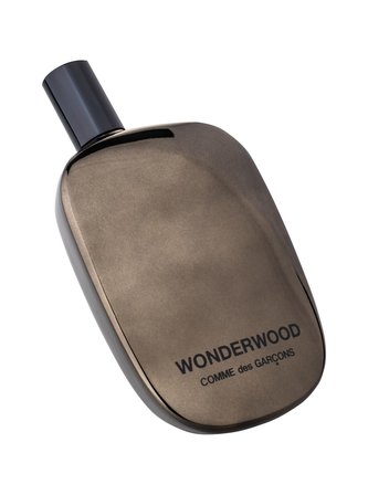 COMME des GARCONS Wonderwood Parfémovaná voda 100 ml pro muže