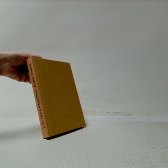 X 30 trhá pavučinu