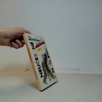 Neučesané myšlienky