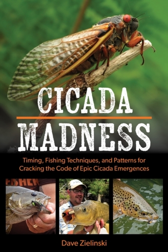 Cicada Madness Cicada Madness
