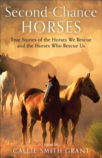Second-Chance Horses - True Stories of the Horses We Rescue and the Horses Who Rescue Us Second-Chance Horses - True Stories of the Horses We Rescue and the Horses Who Rescue Us