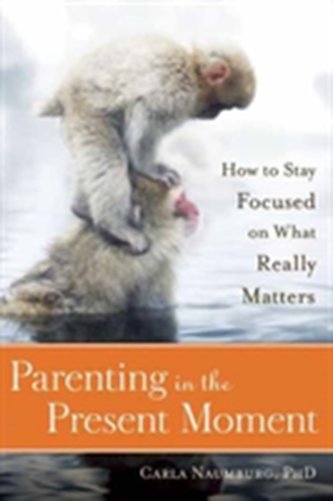 Parenting in the Present Moment