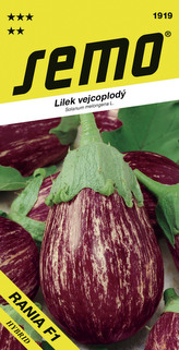 Lilek vejcoplodý - Rania F1 30s