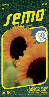 Slunečnice roční - Sunrich Orange F1 15s - série KVĚTINY K ŘEZU