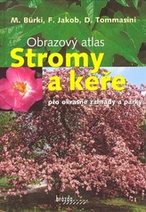 Obrazový atlas Stromy a keře