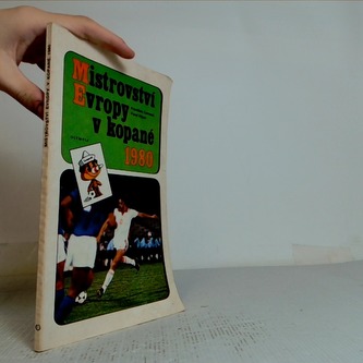 mistrovství Evropy v kopané
