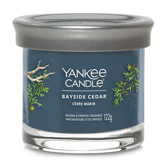 Svíčka ve skleněném válci Yankee Candle, Pobřežní cedr, 122 g
