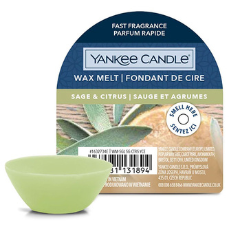 Vonný vosk Yankee Candle, Šalvěj a citrus, 22 g