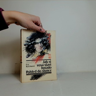 Jak si vosa staví hnízdo. Pohled do slunce