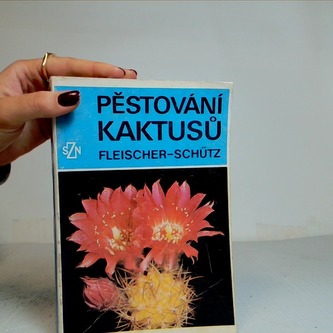 Pěstování kaktusů