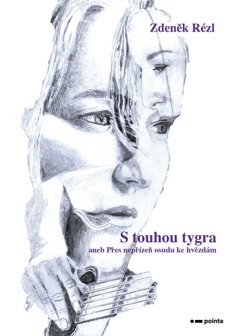 S touhou tygra S touhou tygra