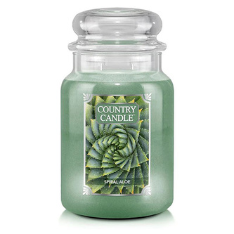26oz | Large Jar | Spiral Aloe