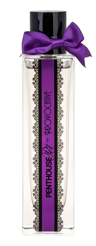 Penthouse Provocative Parfémovaná voda 100 ml pro ženy