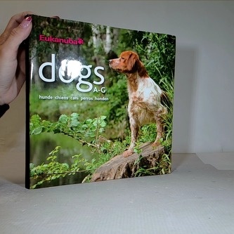 dogs A-G hunde chiens cani perros honden