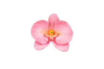 Forma na orchidej 92x60mm - Silikomart