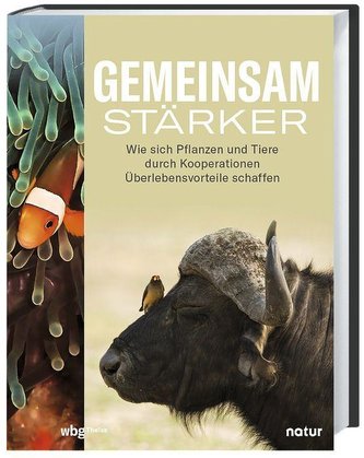 Gemeinsam stärker