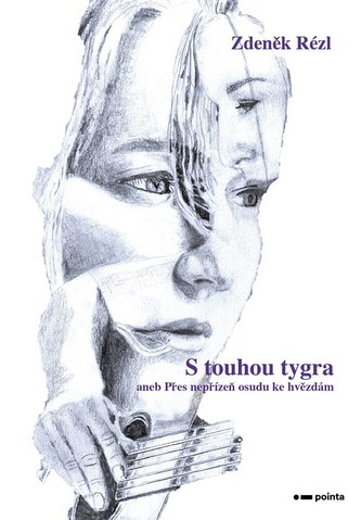 S touhou tygra S touhou tygra