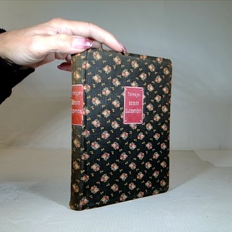 Román šlechtičny a venkovským učitelem