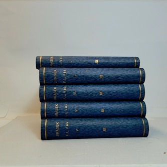 F.L. Věk díl. I - V