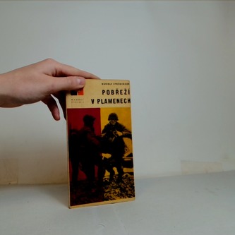 Pobřeží v plamenech