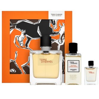 Hermès Terre D'Hermes dárková sada pro muže Set I. 75 ml