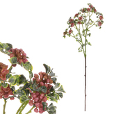 Jeřabina - větev. Tmavě růžová barva.