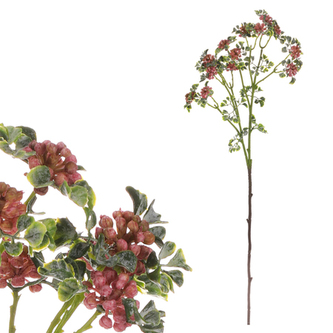 Jeřabina - větev. Tmavě růžová barva.