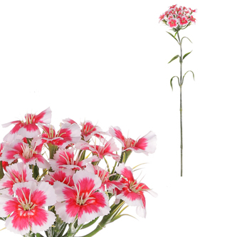 Hvozdík, tm.růžová barva.