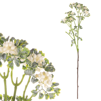 Jeřabina - větev. Bílá barva.