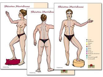 Shiatsu Meridiane-Schaubilder DIN A 2