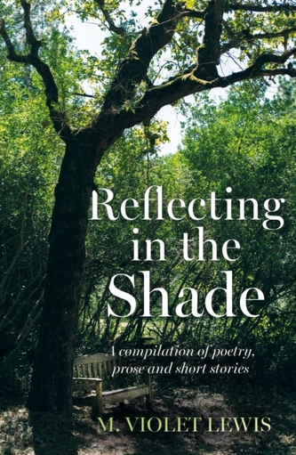 Reflecting in the Shade Reflecting in the Shade