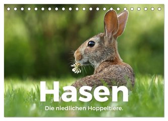Hasen - Die niedlichen Hoppeltiere. (Tischkalender 2024 DIN A5 quer), CALVENDO Monatskalender