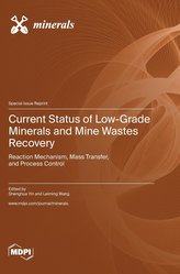Current Status of Low-Grade Minerals and Mine Wastes Recovery