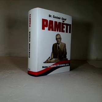 Paměti