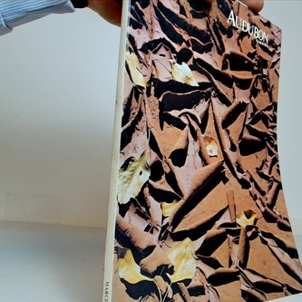 Audubon - march 1976