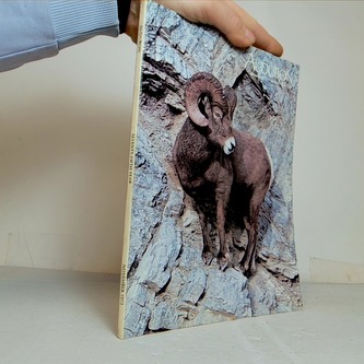 Audubon - nevember 1973