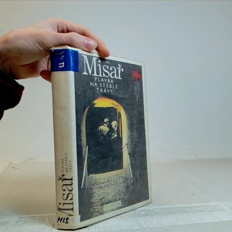 Plavba na stéble trávy